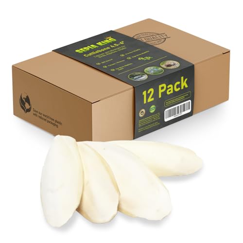 Medium - 100% Natural Calcium Supplement - Premium Cuttlebone Perfect for Birds, Tortoises, Snails, Reptiles - 12 Pack