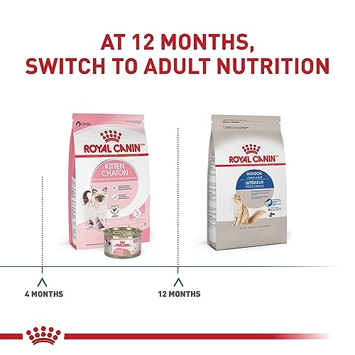 Royal Canin Feline Health Nutrition Indoor Long Hair Adult Dry Cat Food, 6 lb Bag