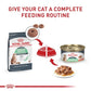 Royal Canin Feline Care Nutrition Digestive Care Adult Thin Slices in Gravy Cat Food, 3 oz (Pack of 24)