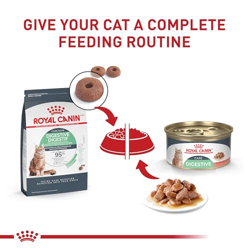 Royal Canin Feline Care Nutrition Digestive Care Adult Thin Slices in Gravy Cat Food, 3 oz (Pack of 24)
