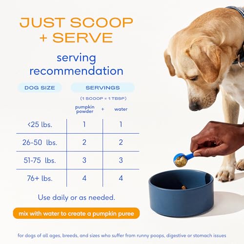 Native Pet Pumpkin for Dogs - Organic Dog Food Topper Powder - Promotes Firm Stools, Supports Digestive, Bowel Health & Nutrient Absorption - USDA Organic, Rich in Fiber with Real Pumpkin - 30 Scoops