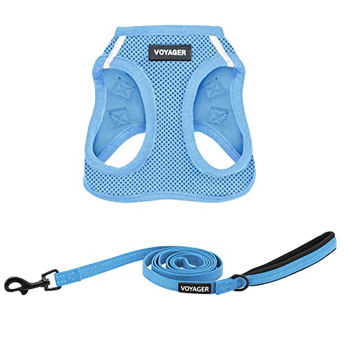 Best Pet Supplies Voyager Step-in Air All Weather Mesh Harness and Reflective Dog 5ft Leash Combo with Neoprene Handle, for Small, Medium and Large