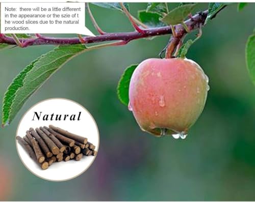 William Craft Apple Sticks Pet Chew Toy Treats for Chinchilla Guinea Pigs Rabbits Squirrel Hamster Bunny