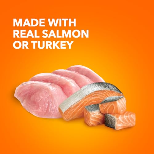 IAMS Perfect Portions Indoor Adult Grain Free Wet Cat Food Pate, Turkey and Salmon Recipe, 2.6 oz. Twin-Pack Trays (12 Count, 24 Servings) (Pack of 2)