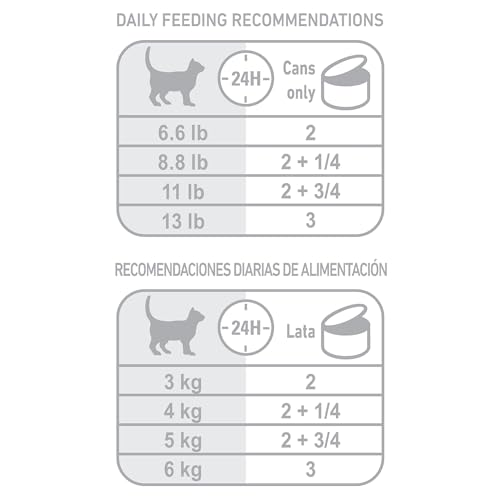 Royal Canin Feline Health Nutrition Indoor Adult Morsels in Gravy Cat Food, 3 oz (Pack of 24)