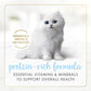 Purina Fancy Feast Tender Ocean Whitefish Feast Wet Kitten Food - (Pack of 24) 3 oz. Cans