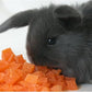Exotic Nutrition Papaya Treat 1/2 LB - Healthy Natural Dried Fruit Treat - Rabbit, Guinea Pig, Hamster, Gerbil, Rat, Parrot, Sugar Glider, Squirrel, Birds & Small Pets