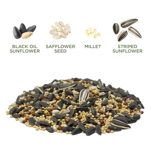 Audubon Park Songbird Supreme Wild Bird Seed for Outside Feeders, 15-lb. Bag