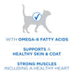 Purina ONE Plus High Protein Cat Food Dry Salmon and Ocean Whitefish Cat Skin and Coat Health Formula - 3.5 lb. Bag
