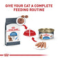 Royal Canin Feline Care Nutrition Weight Care Adult Dry Cat Food, 6 lb Bag