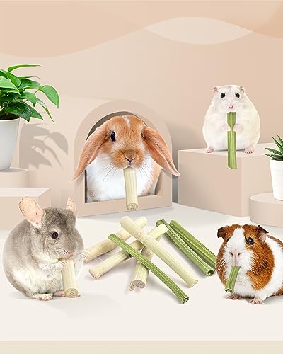 Bissap 40PCS Rabbit Chew Sticks, 20PCS Sweet Bamboo Chew Sticks & 20PCS Papaya Stems Bunny Chews for Rabbit Hamster Chinchilla Guinea Pig Small Animals Natural Molar Treats