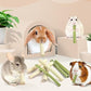 Bissap 40PCS Rabbit Chew Sticks, 20PCS Sweet Bamboo Chew Sticks & 20PCS Papaya Stems Bunny Chews for Rabbit Hamster Chinchilla Guinea Pig Small Animals Natural Molar Treats