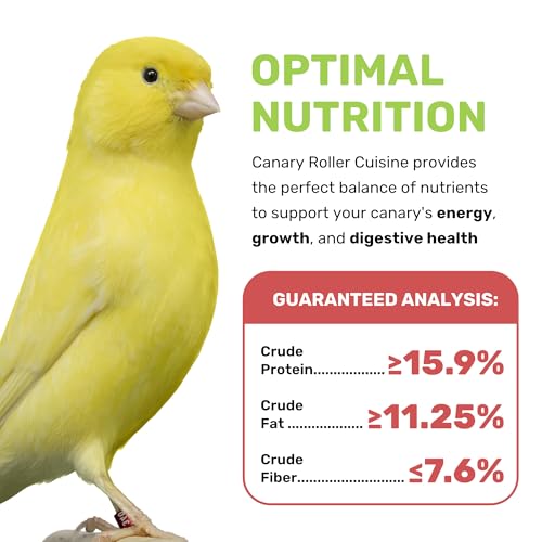 Canary Cuisine 4 Lbs, Premium Mixed Fruit and Birdseed with Essential Vitamins and Minerals, Canary Bird Food, Supports Daily Energy Growth & Healthy Balanced Diet, Bird Seed for Pet Birds