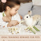 Bissap 40PCS Rabbit Chew Sticks, 20PCS Sweet Bamboo Chew Sticks & 20PCS Papaya Stems Bunny Chews for Rabbit Hamster Chinchilla Guinea Pig Small Animals Natural Molar Treats