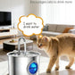 Cat Water Fountain Advanced 304 Stainless Steel 2.2L/74oz with Detachable Tank, Easy to Clean, Automatic Pet Fountain Quiet Cats Water Dispenser, Perfect for Cats Dogs Indoor