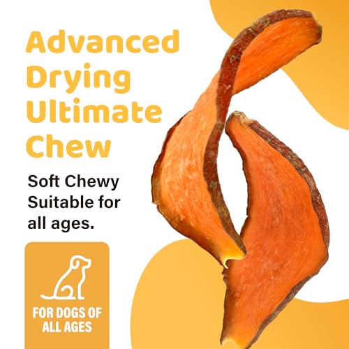 iPaw Sweet Potato Dog Treats, SQF Certified Single Ingredient Dog Treats for Vegetarian, All Natural Human Grade Puppy Chew, Rawhide Alternative, Hypoallergenic, Easy to Digest