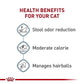 Royal Canin Feline Health Nutrition Indoor Adult Dry Cat Food, 7 lb Bag