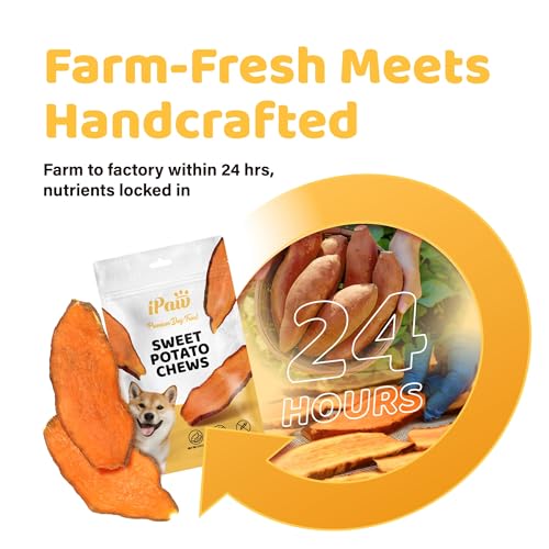 iPaw Sweet Potato Dog Treats, SQF Certified Single Ingredient Dog Treats for Vegetarian, All Natural Human Grade Puppy Chew, Rawhide Alternative, Hypoallergenic, Easy to Digest