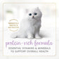 Purina Fancy Feast Kitten Tender Chicken Feast Wet Kitten Food Pate - (Pack of 24) 3 oz. Cans