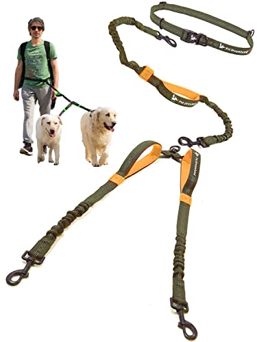 Pet Dreamland Exquisite Hands Free Double Dog Leash for Two Dogs with Tangle-Free Swivel. Premium Quality & Versatile for Running. You Will