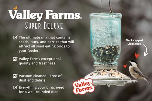 Valley Farms Super Deluxe Wild Bird Food for Outside feeders - 0% fillers - Loads of Sunflower Seed - w/Peanut kernels -Feed More Birds w/Less Seed (4 LBS)
