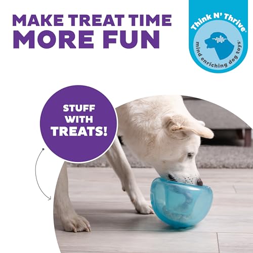 Outward Hound by Planet Dog Snoop Dog Toy – Treat‑Dispenser Puzzle Ball, Interactive Slow Feeder, Medium to Large Dogs, Bouncy & Mint-Infused, Blue, 5"