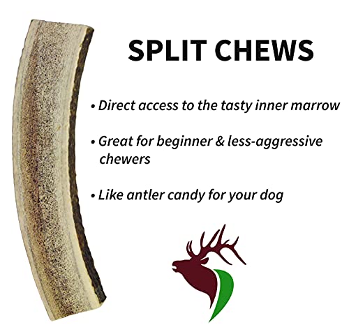 Elkhorn Premium Chews – Elk Antlers for Dogs, X Large (6-10") Split, 1 Pack, All Natural Dog Chew for X Large Dogs, Premium Naturally Shed Antler