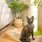 Nekosan Cat Scratcher Cardboard Bed, 27.5" Extra Large Cat Scratch Sofa Bed, Cat Scratcher Lounge Bed for Indoor Cats, 27.5 x 10 Inches Cat Couch Bed - Scratching Board