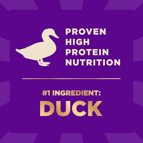Wellness CORE+ Adult Dry Dog Food with Freeze Dried Pieces, Grain Free Kibble+, Natural, High Protein, Wild Game Duck, Lamb, Boar, and Rabbit Recipe, 10 lb Bag