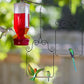PACETAP Hummingbird Swings and Perches Metal Frame 2 Pack, Wild Bird Swing Outdoor Bird Perch with Wooden Dowel and 2 Hanging Chain for Hanging Indoor, Outdoor, Trunk, Lawn, Patio, Garden (Black)