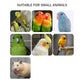 Hamiledyi 5 Pcs Parrot Perch Stand Natural Wood Bird Perch Stand Platform Paw Grinding Sticks Cage Accessories Exercise Toys for Budgies Parakeets Cockatiels Conures Lovebirds