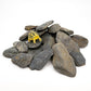 Aquarium Stone Natural Slate Stream Turtle Tank Rocks 3-7 inches Fish Rock for Aquarium Aquascaping Shrimp Tanks Amphibian Enclosures Paludarium-5lb