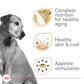 Royal Canin Canine Health Nutrition Mature Mature In Gel Dog Food, 13.5 oz (Pack of 12)