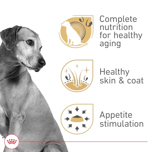 Royal Canin Canine Health Nutrition Mature Mature In Gel Dog Food, 13.5 oz (Pack of 12)