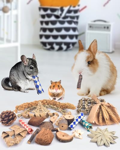 Bissap Rabbit Chew Toy, Natural Bunny Treats Snacks with Timothy Hay Water Grass Mat Coconut Husk Box for Guinea Pigs Chinchillas Hamsters Gerbils and Other Small Pets Teeth Grinding