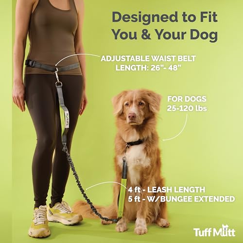 Tuff Mutt Hands Free Dog Leash for Walking Running Hiking, Waist Leash with Bungee, Adjustable Belt, Reflective Double Handle Design for Large Medium