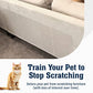 6 Pack XL Anti Cat Scratch Furniture Protector - Couch Protector from Cat Claws w/Twist Pins, Clear, Easy-to-Apply Scratching Deterrent and Shield for Sofa (Not for Leather, Velvet, Microfiber)