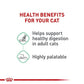 Royal Canin Feline Care Nutrition Digestive Care Adult Thin Slices in Gravy Cat Food, 3 oz (Pack of 12)