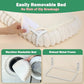 Zakkart SnugCloud Foldable Cat Window Perch - Cordless, Ultra Soft Machine Washable Bed with 4-Sided Bolster, Metal Frame - Window Hammock for Large Cats and Kittens (Cream White, Medium)