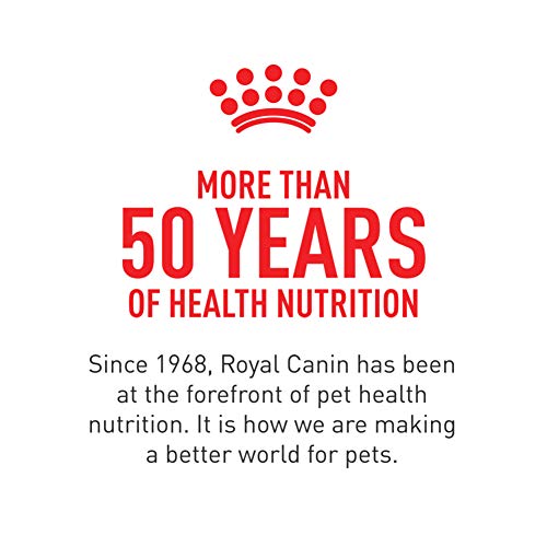 Royal Canin Feline Health Nutrition Indoor Adult & Adult Instinctive Thin Slices in Gravy and Morsels in Gravy Variety Pack Cat Food, 3 oz (Pack of 12)