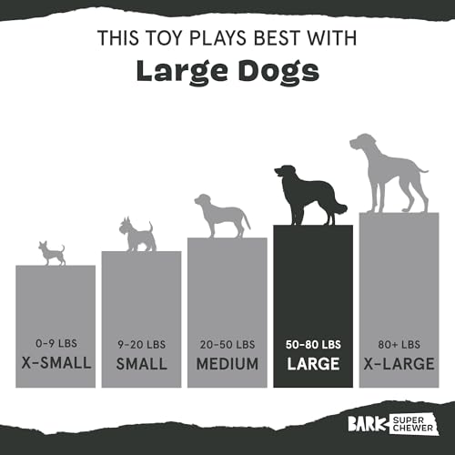 Barkbox Hambone Super Chewer Tough Dog Chew Toy for Aggressive Chewers, Plush Cover with Rubber Core - 2 Toys in 1 – Two Layer Treat Dispensing Dog
