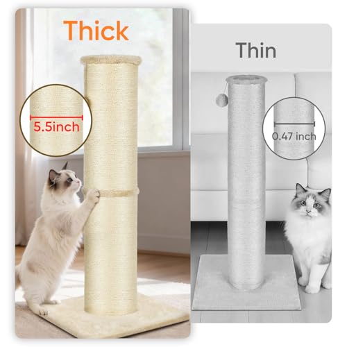 PAWSCRAT Cat Scratching Post 32 Inch High, 5.5 Inch Large Diameter Natural Sisal Cat Scratch Post, Scratch-Resistant and Durable Tall Cat Scratcher for Indoor Cats, Protect Your Furniture, Beige