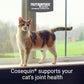 Nutramax Cosequin for Cats Joint Health Supplement, Contains Glucosamine for Cats, Plus Chondroitin and Omega-3s, Supports Joint and Skin and Coat
