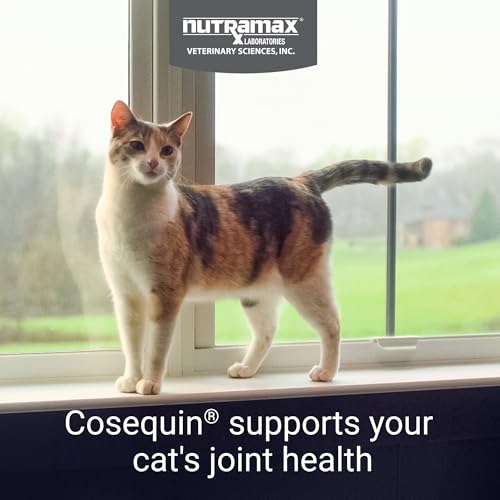 Nutramax Cosequin for Cats Joint Health Supplement, Contains Glucosamine for Cats, Plus Chondroitin and Omega-3s, Supports Joint and Skin and Coat