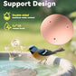 CNARIO Copper Disk for Bird Baths, Bird Baths 99.99% Pure Copper Cleaning Disk, Safe Natural Solution, 0.6mm Thick with Stable Triple-Point Support, All-Season Use