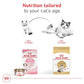 Royal Canin Feline Breed Nutrition Ragdoll Adult Dry Cat Food, 7 lb Bag