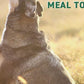 Nutri Bites Freeze Dried Beef Liver Dog & Cat Treats | Healthy Pet Training Treats or Food Topper | All Natural, Single Ingredient, High Protein