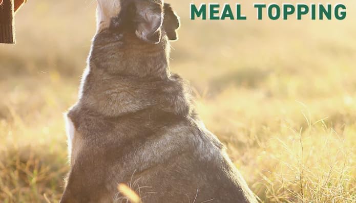 Nutri Bites Freeze Dried Beef Liver Dog & Cat Treats | Healthy Pet Training Treats or Food Topper | All Natural, Single Ingredient, High Protein