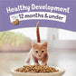 Purina Kitten Chow 14lb
