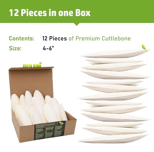 Medium - 100% Natural Calcium Supplement - Premium Cuttlebone Perfect for Birds, Tortoises, Snails, Reptiles - 12 Pack